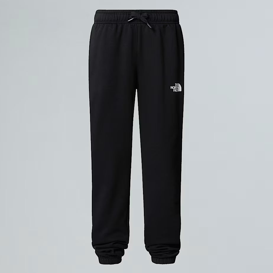 The North Face Joggers Regular Grigi