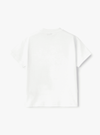 Il Gufo t-shirt bianca con auto blu | Al Monello - Barbieri